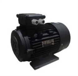 Мотор H112 HP 6.1 4P MA AC KW4,4 4P (межосевое расстояние 75мм) - фото 124598