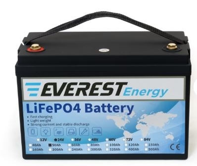 Литиевый аккумулятор   Everest Energy LFP-24V60А - фото 57250