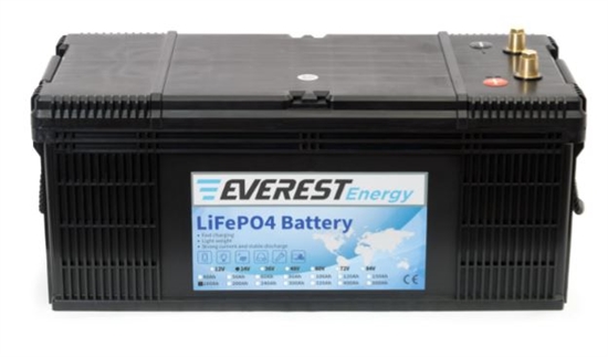 Литиевый аккумулятор Everest Energy LFP-24V160А - фото 57275