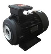 Мотор H112 HP 7.5 2P MA AC KW 5,0 2P (межосевое расстояние 75мм)