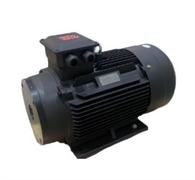 Мотор H160  22 KW
(межосевое расстояние 87мм)