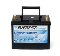 Литиевый аккумулятор Everest Energy LFP-24V40А