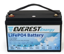 Литиевый аккумулятор   Everest Energy LFP-24V50А