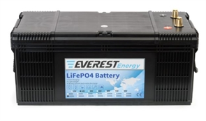 Литиевый аккумулятор Everest Energy LFP-24V160А