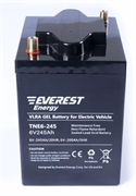Everest Аккумуляторная батарея TNE 6-245 (6 В, 200 А/ч)