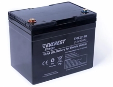 Everest Аккумуляторная батарея TNE 12-40 (12 В, 34 А/ч)