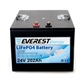 Литиевый аккумулятор Everest Energy LFP-24V202А - фото 57281