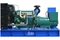Дизельная электростанция 300 кВт TTSt 420TS CG - фото 81108