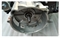 Двигатель бензиновый Lifan KP460E/Engine assy - фото 85148